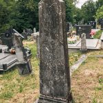 Споменик Богољубу Н. Лађевцу на Лађевачком гробљу у Доњој Добрињи (фото Бојан Радојичић)