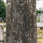 Споменик Богољубу Н. Лађевцу на Лађевачком гробљу у Доњој Добрињи (фото Бојан Радојичић)