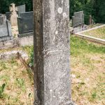 Споменик Богољубу Н. Лађевцу на Лађевачком гробљу у Доњој Добрињи (фото Бојан Радојичић)