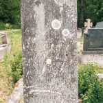 Споменик Богољубу Н. Лађевцу на Лађевачком гробљу у Доњој Добрињи (фото Бојан Радојичић)