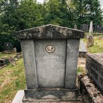Споменик Чедомиру Лађевцу на Лађевачком гробљу у Доњој Добрињи (фото Бојан Радојичић)