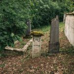 Споменик Витомиру Лађевцу на Лађевачком гробљу у Доњој Добрињи (фото Бојан Радојичић)