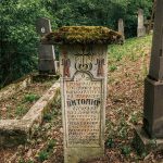 Споменик Витомиру Лађевцу на Лађевачком гробљу у Доњој Добрињи (фото Бојан Радојичић)