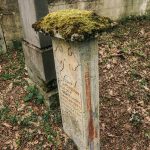 Споменик Витомиру Лађевцу на Лађевачком гробљу у Доњој Добрињи (фото Бојан Радојичић)