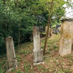 Споменик Стојану и Остоји Тошићима на Лађевачком гробљу у Доњој Добрињи (фото Бојан Радојичић)