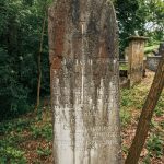 Споменик Стојану и Остоји Тошићима на Лађевачком гробљу у Доњој Добрињи (фото Бојан Радојичић)