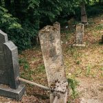 Споменик Илији Тошићу на Лађевачком гробљу у Доњој Добрињи (фото Бојан Радојичић)