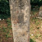 Споменик Илији Тошићу на Лађевачком гробљу у Доњој Добрињи (фото Бојан Радојичић)