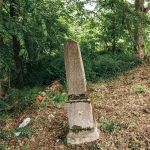 Споменик Драгомиру Тошићу на Лађевачком гробљу у Доњој Добрињи (фото Бојан Радојичић)
