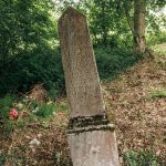 Споменик Драгомиру Тошићу на Лађевачком гробљу у Доњој Добрињи (фото Бојан Радојичић)