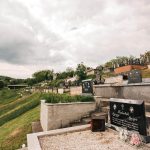 Павловића гробље у Доњој Добрињи (фото Бојан Радојичић)