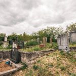 Павловића гробље у Доњој Добрињи (фото Бојан Радојичић)