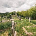 Павловића гробље у Доњој Добрињи (фото Бојан Радојичић)