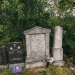 Павловића гробље у Доњој Добрињи (фото Бојан Радојичић)