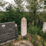 Споменик Јовану Ј. Лађевцу на Павловића гробљу у Доњој Добрињи (фото Бојан Радојичић)