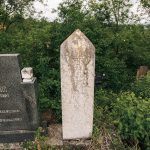 Споменик Јовану Ј. Лађевцу на Павловића гробљу у Доњој Добрињи (фото Бојан Радојичић)