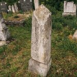 Споменик Илији и Јовиши Јовичићима на Павловића гробљу у Доњој Добрињи (фото Бојан Радојичић)