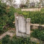 Споменик Чедомиру Марјановићу на Павловића гробљу у Доњој Добрињи (фото Бојан Радојичић)