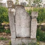 Споменик Чедомиру Марјановићу на Павловића гробљу у Доњој Добрињи (фото Бојан Радојичић)