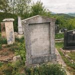 Споменик Митру Павловићу на Павловића гробљу у Доњој Добрињи (фото Бојан Радојичић)