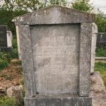 Споменик Митру Павловићу на Павловића гробљу у Доњој Добрињи (фото Бојан Радојичић)