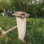 Споменик Љубенку Виторовићу на Павловића гробљу у Доњој Добрињи (фото Бојан Радојичић)
