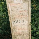Споменик Мијату, Витору и Миливоју Виторовићима на Павловића гробљу у Доњој Добрињи (фото Бојан Радојичић)