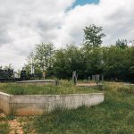 Вучићевића гробље у Доњој Добрињи (фото Бојан Радојичић)