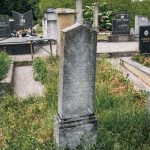 Споменик Вуици Вучићевићу на Вучићевића гробљу у Доњој Добрињи (фото Бојан Радојичић)