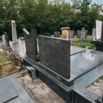 Споменик Милутину Вучићевићу на Вучићевића гробљу у Доњој Добрињи (фото Бојан Радојичић)