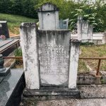 Споменик Велимиру Вучићевићу на Вучићевића гробљу у Доњој Добрињи (фото Бојан Радојичић)