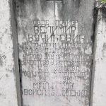 Споменик Велимиру Вучићевићу на Вучићевића гробљу у Доњој Добрињи (фото Бојан Радојичић)