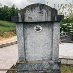Споменик Михаилу Вучићевићу на Вучићевића гробљу у Доњој Добрињи (фото Бојан Радојичић)