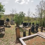 Гробље на Голом брду у Душковцима (фото Бојан Радојичић)