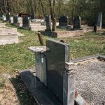 Споменик Добросаву Цицовићу на гробљу на Голом брду у Душковцима (фото Бојан Радојичић)