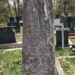 Споменик Животи Филиповићу на гробљу на Голом брду у Душковцима (фото Бојан Радојичић)