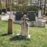 Споменик Грујици и Војимиру Филиповићима на гробљу на Голом брду у Душковцима (фото Бојан Радојичић)