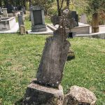 Споменик Војину Н. Цицовићу на гробљу на Голом брду у Душковцима (фото Бојан Радојичић)