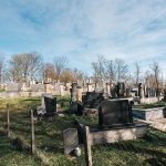 Дробњачко гробље у Глумчу (фото Бојан Радојичић)