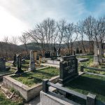 Миловановића гробље у Глумчу (фото Бојан Радојичић)