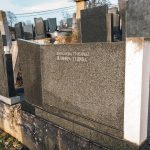 Споменик Велимиру и Миливоју Тешићима на Прелића гробљу у Глумчу (фото Бојан Радојичић)
