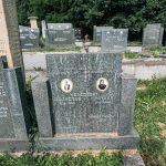 Споменик Војиславу Међедовићу на гробљу у Годовику (фото Бојан Радојичић)
