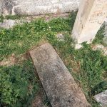 Споменик Стевану Мићићу на гробљу у Годовику (фото Бојан Радојичић)