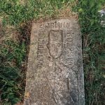 Споменик Стевану Мићићу на гробљу у Годовику (фото Бојан Радојичић)