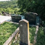 Споменик Миливоју М. Недељковићу на гробљу у Годовику (фото Бојан Радојичић)