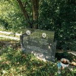 Споменик Петру Кулизићу на гробљу у Годовику (фото Бојан Радојичић)