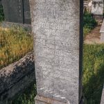 Споменик Јову Тодорићу на гробљу изнад цркве у Горњој Добрињи (фото Бојан Радојичић)