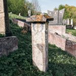 Споменик Милисаву Софронијевићу на гробљу изнад цркве у Горњој Добрињи (фото Бојан Радојичић)