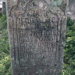 Споменик Милисаву Софронијевићу на гробљу изнад цркве у Горњој Добрињи (фото Бојан Радојичић)