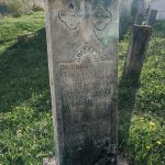 Споменик Добросаву Софронијевићу на гробљу изнад цркве у Горњој Добрињи (фото Бојан Радојичић)